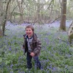 Bear hunting amongst the bluebells!