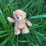Ned's teddy hiding in the long, wavy grass